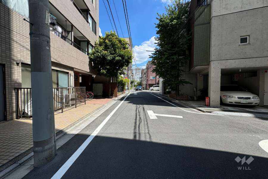 敷地の南側前面道路（西側から）