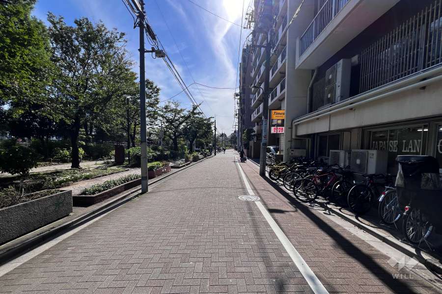 敷地南東側の前面道路（北東側から）