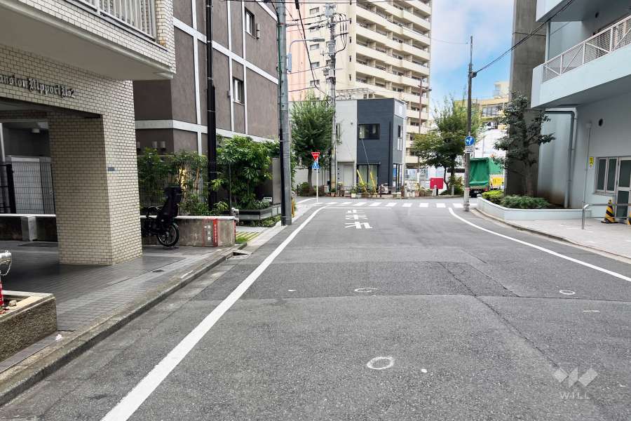 敷地の南東側前面道路（南西側から）