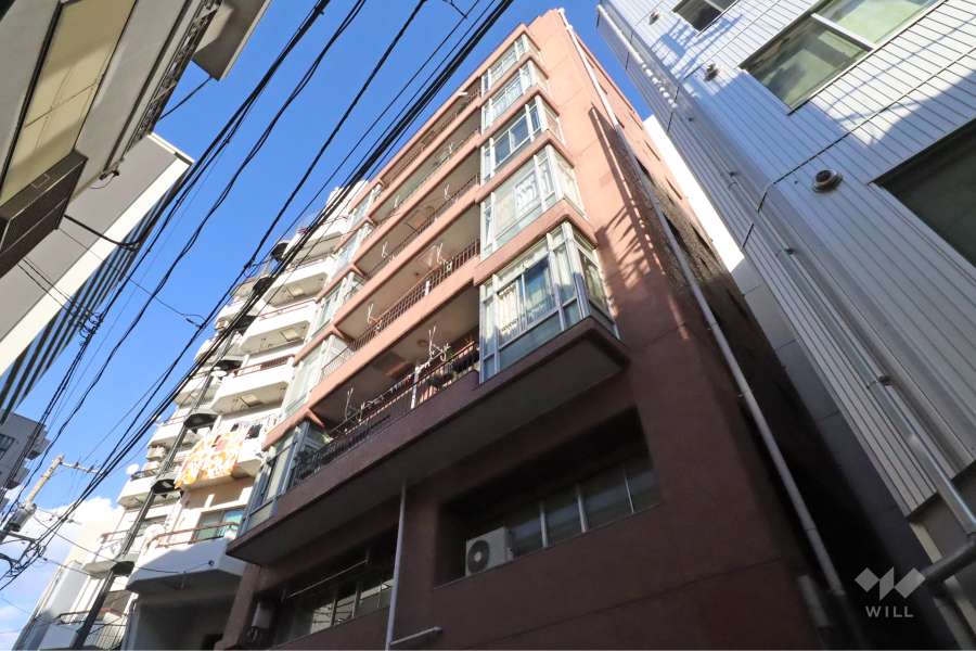 サンクレスト池之端の外観(南西側から)