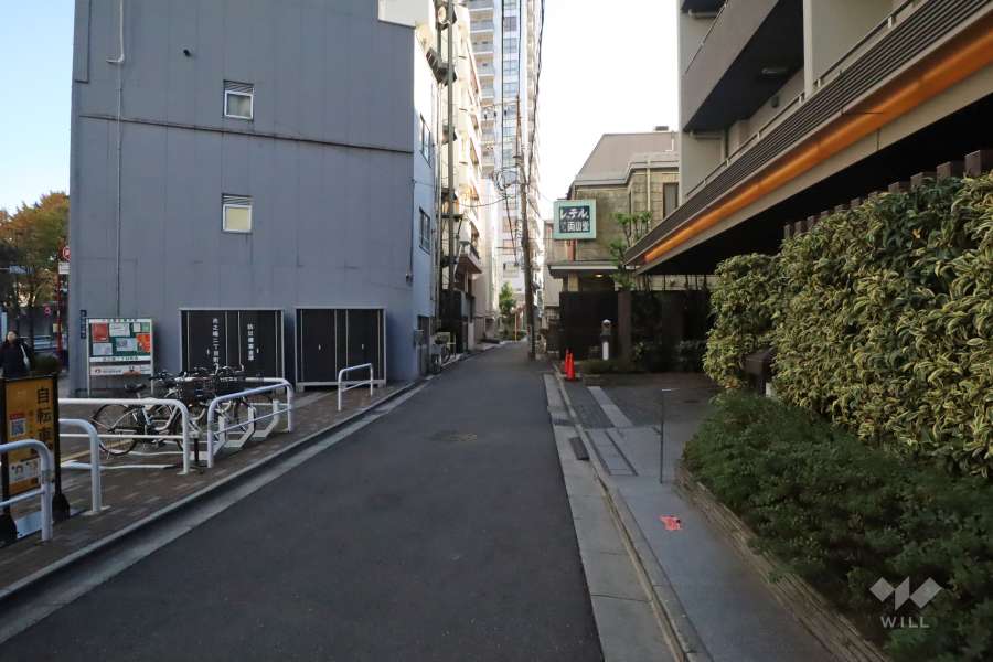 敷地の西側前面道路(北側から)