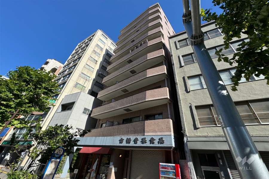 グランドメゾン寿の外観（南西側から）