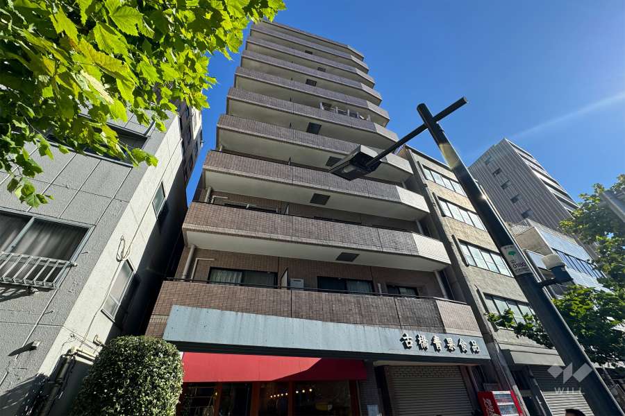 グランドメゾン寿の外観（北西側から）