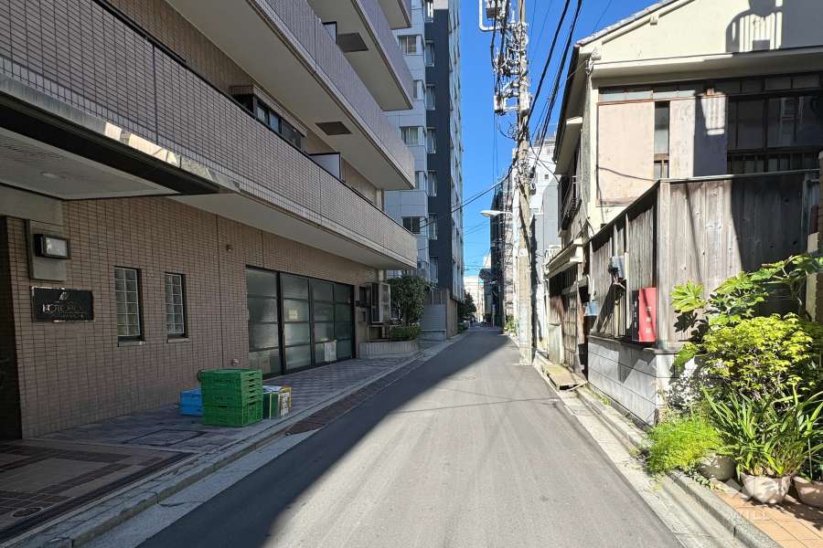 敷地東側の前面道路　