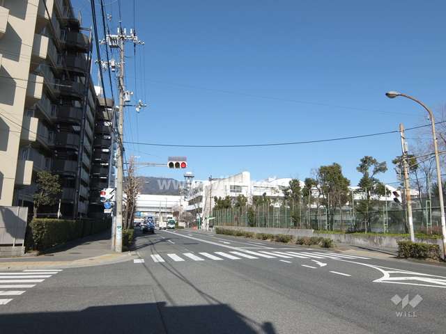 敷地東側の前面道路