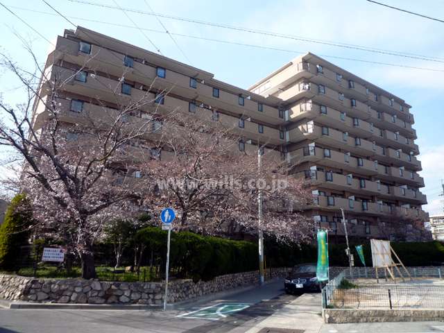 グランドール逆瀬川の外観（南側から）周りに桜が植えられています。
