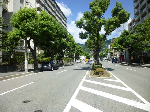 敷地東側の前面道路
