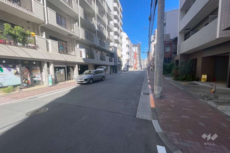敷地の南側前面道路（西側から）