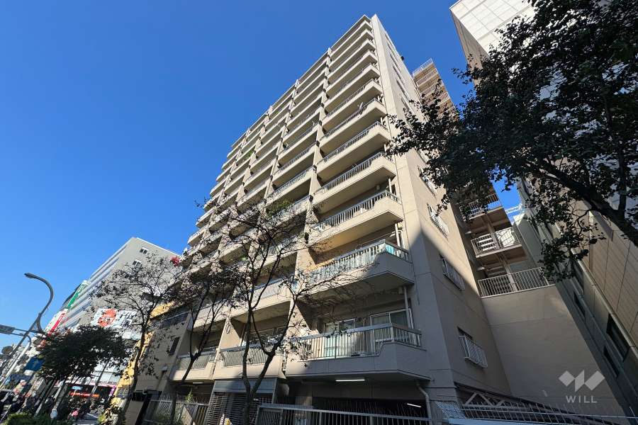 浅草田原町マンションの外観（南東側から）