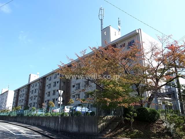 渦ヶ森コーポ20号館の外観（西側から）