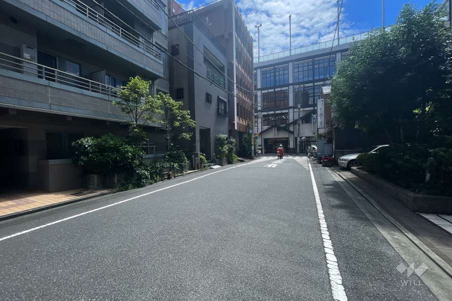 敷地の西側前面道路（北側から）