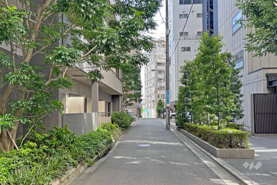 敷地の北東側前面道路（北西側から）