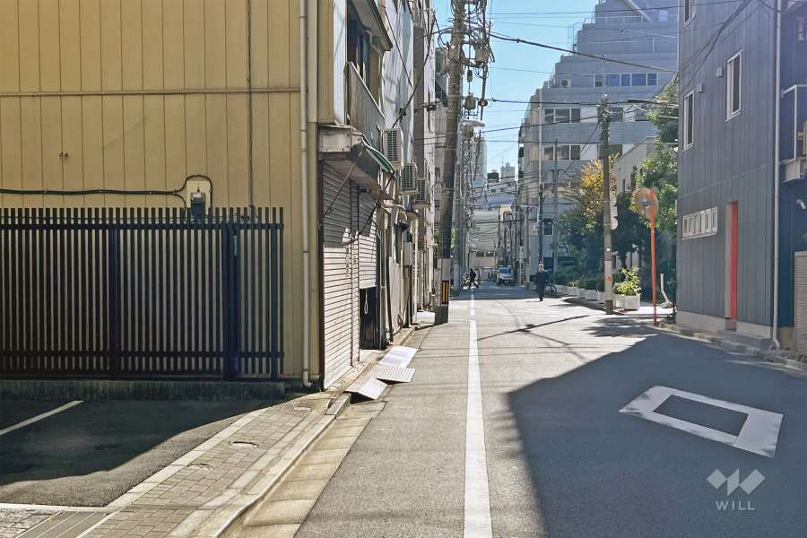 敷地の西側前面道路（北側から）