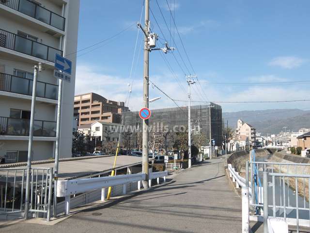 敷地東側の前面道路。向かい側には天上川が流れています。