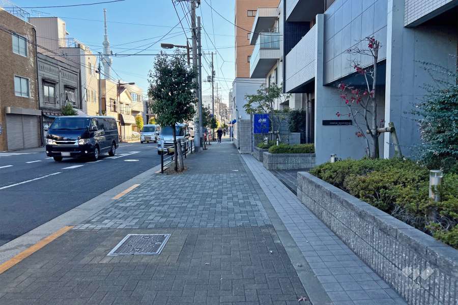 敷地東側の前面道路（北側から）