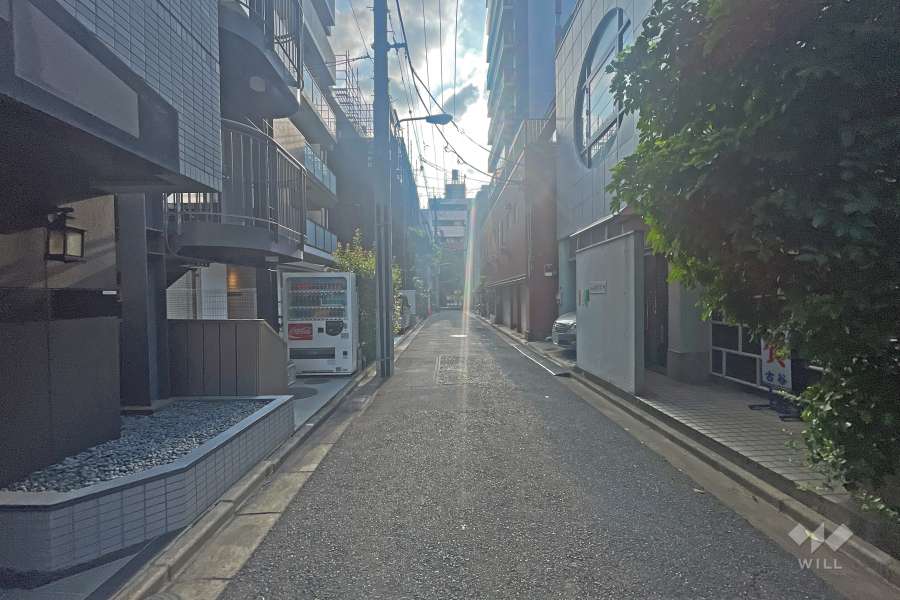 敷地の南側前面道路（西側から）