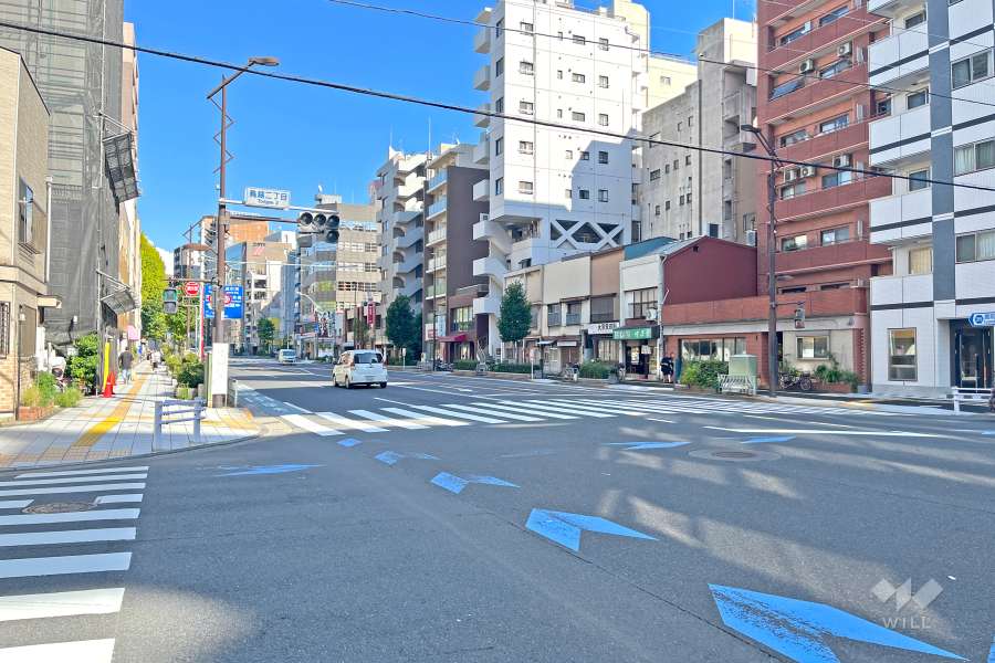 敷地の北側前面道路（西側から）