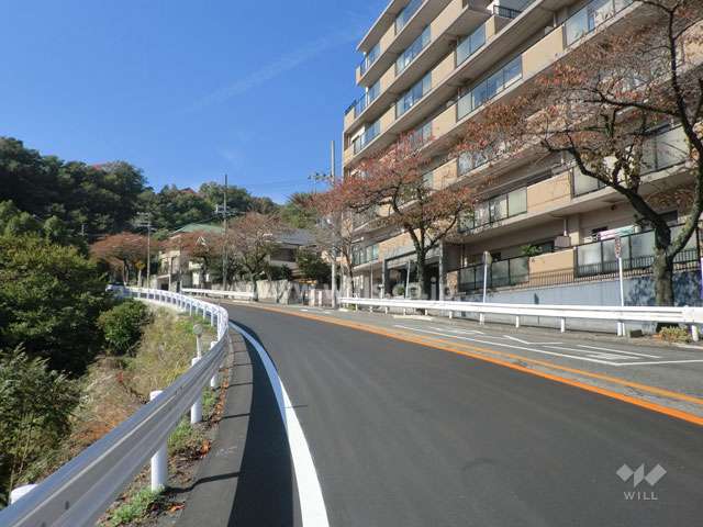 敷地南側の前面道路
