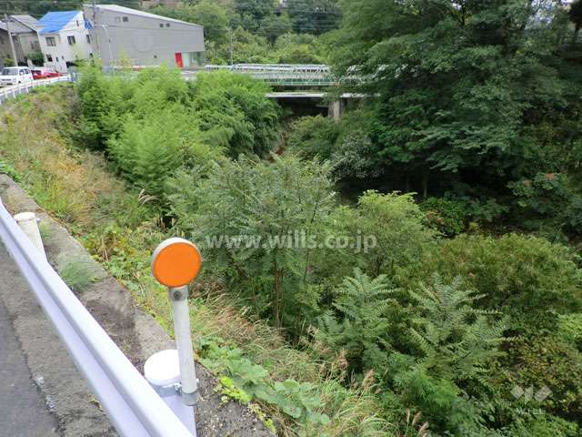 向かい側に住吉台公園があります