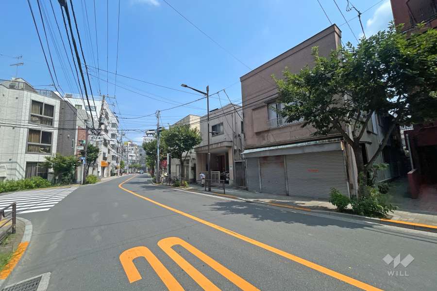 敷地西側の前面道路（南側から）