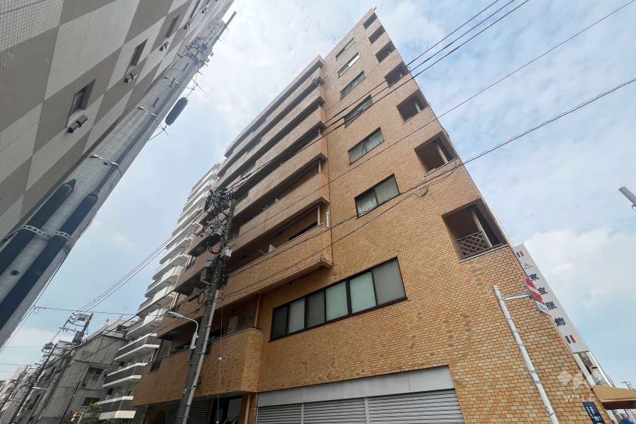 スターハイツ台東の外観（南東側から）