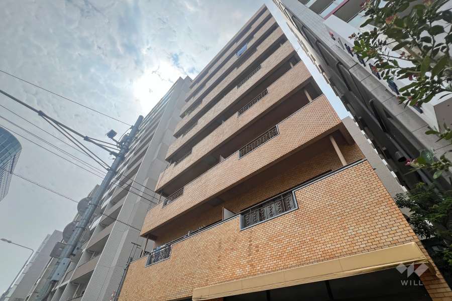 スターハイツ台東の外観（東側から）