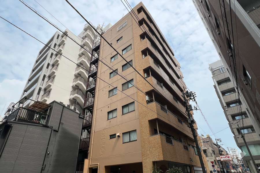 スターハイツ台東の外観（西側から）