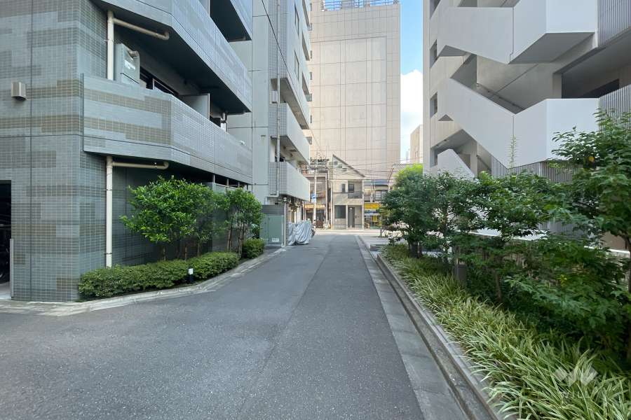 敷地東側の前面道路