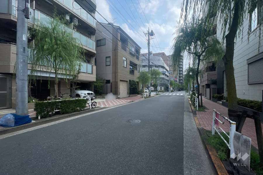 敷地の南側前面道路（西側から）