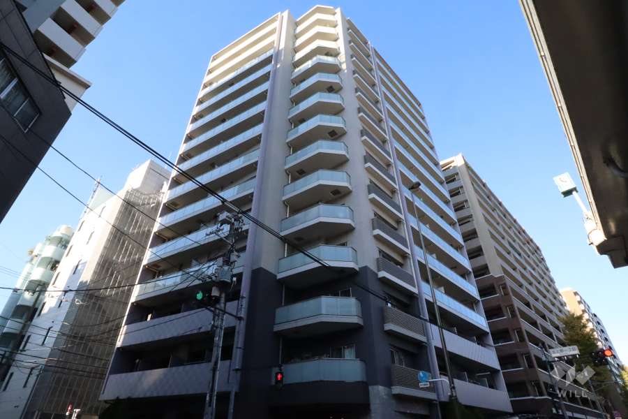 パレステージ上野の外観(南側から)