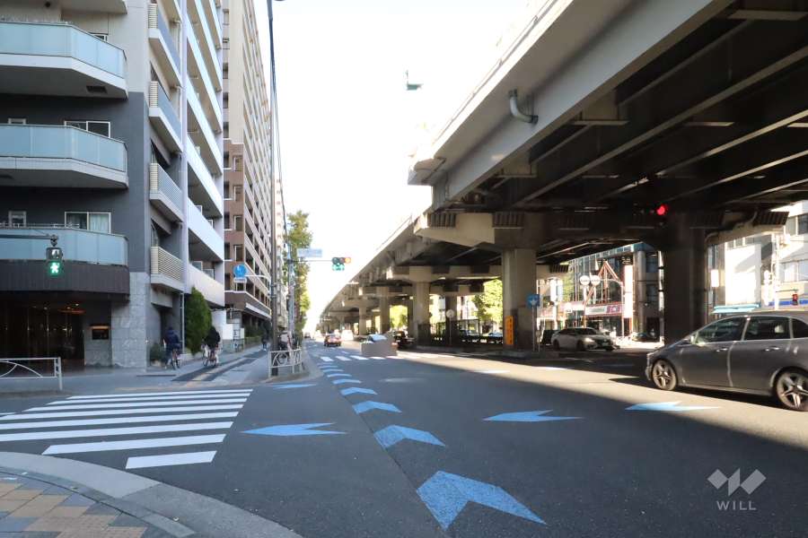 敷地東側の前面道路(南側から)