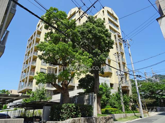 甲南コーポラスの外観（南東側から）