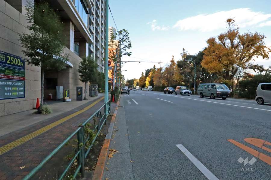 敷地東側の前面道路は不忍通りです(南側から)。道路を挟んで不忍池に面しています。