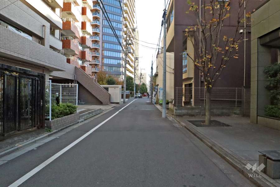 敷地西側の前面道路(側から)