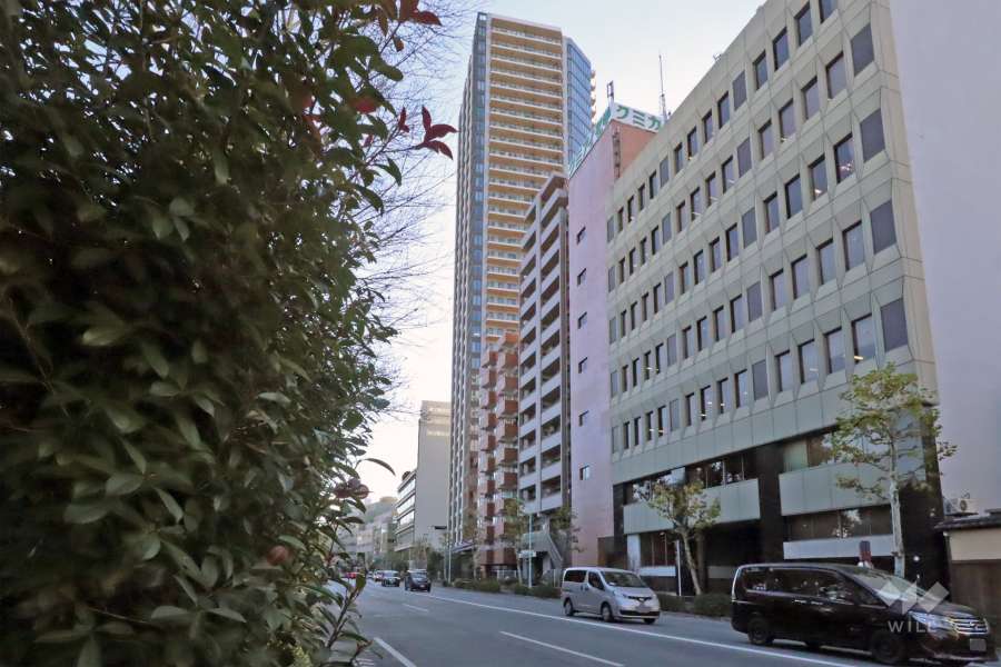 ブリリアタワー上野池之端の外観（北東側から）