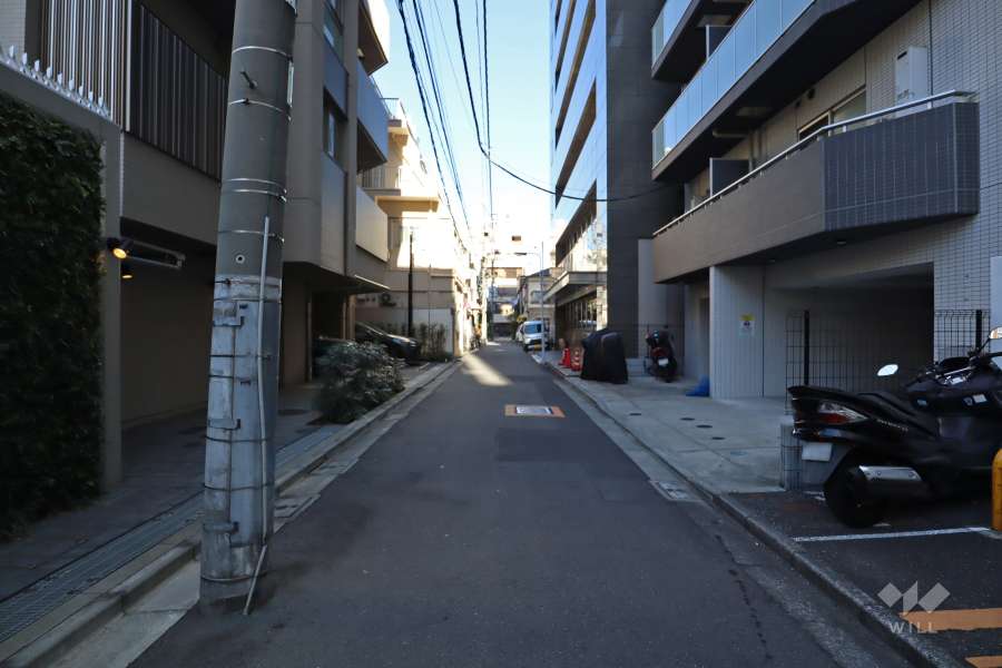 敷地東側の前面道路(南側から)