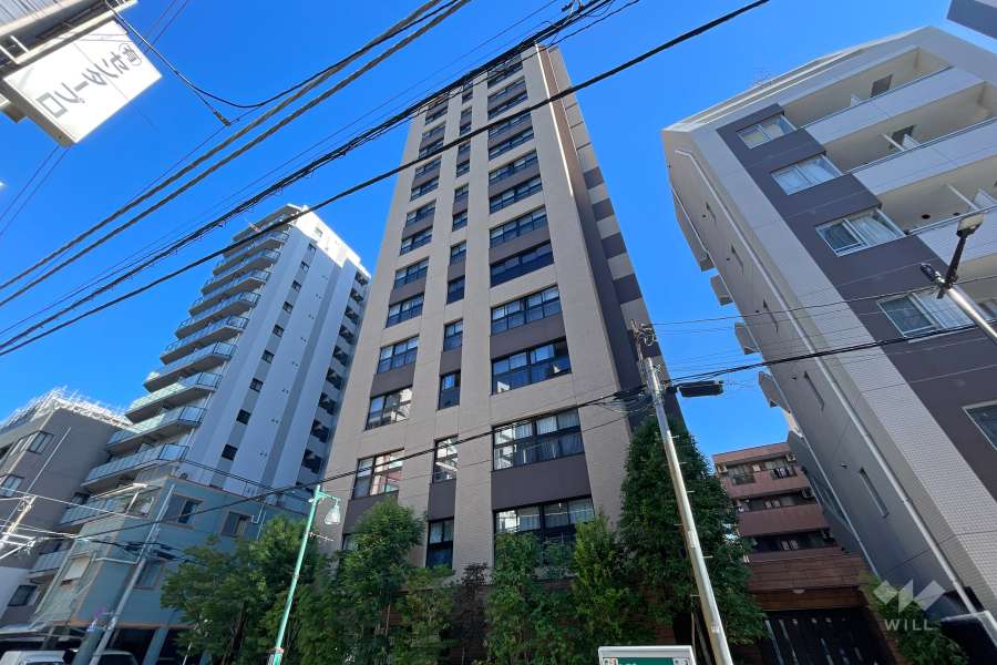 ザ・パークハウス上野プレイスの外観（南東側から）
