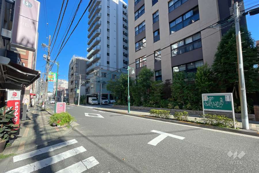 敷地南側の前面道路　