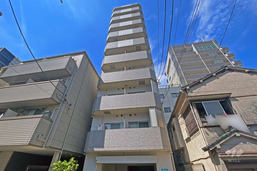 グランフォース入谷の外観（北東側から）