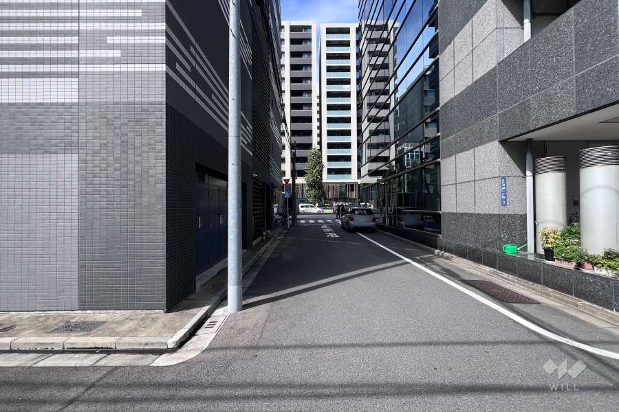 敷地の北東側前面道路（南東側から）