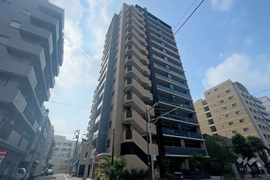 ルフォン入谷ザレジデンスの外観（北側から）