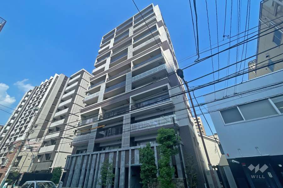 レーベン浅草AYAGINUの外観（南西側から）