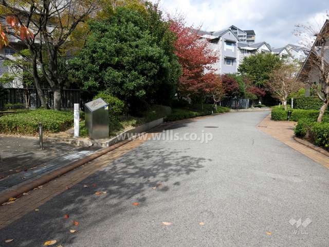 敷地南側の前面道路