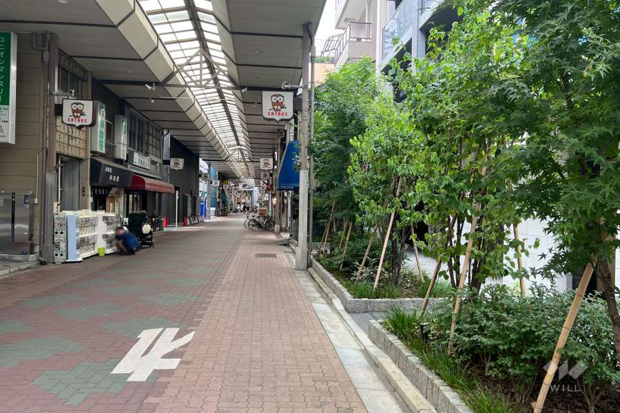 敷地東側の前面道路