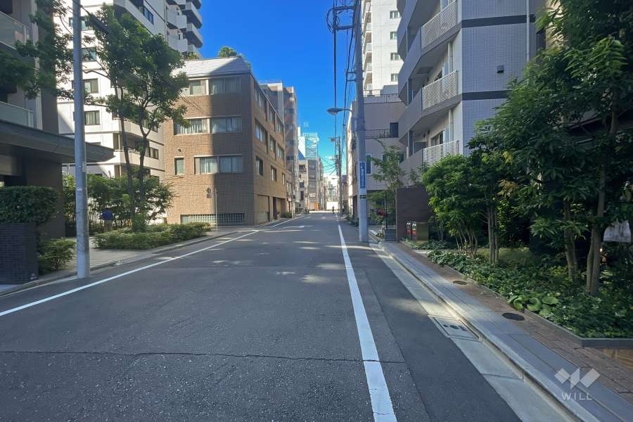 敷地東側の前面道路（南側から）