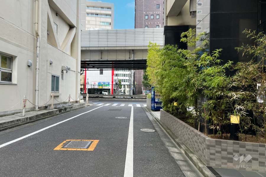 敷地の北東側前面道路（北西側から）