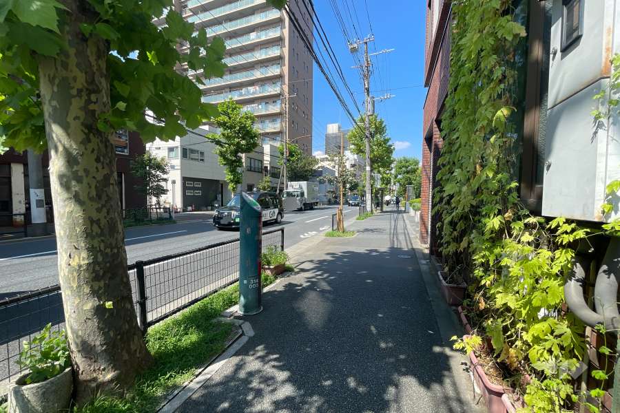 敷地の西側前面道路（南側から）