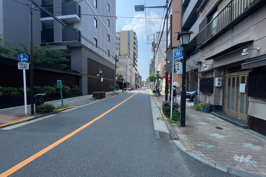 敷地の西側前面道路（南側から）