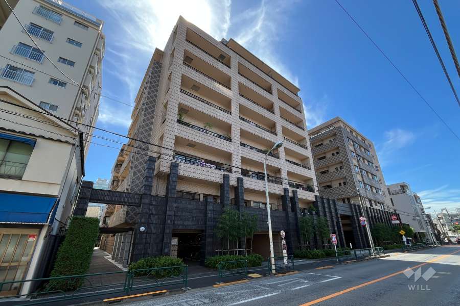 ルネ上野桜木の外観（北東側から）