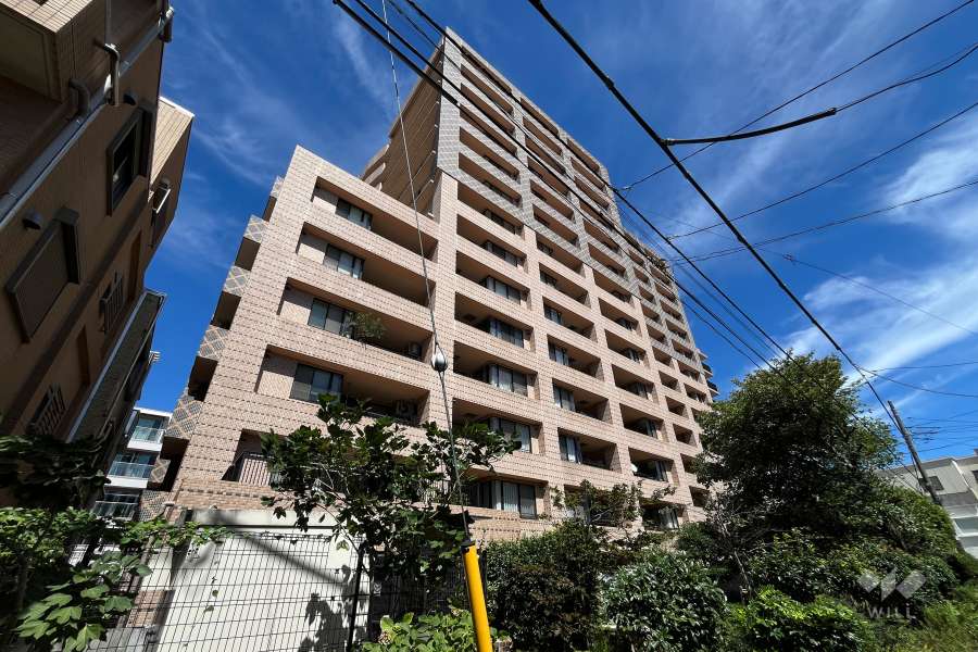 ルネ上野桜木の外観（南西側から）